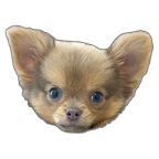 うに